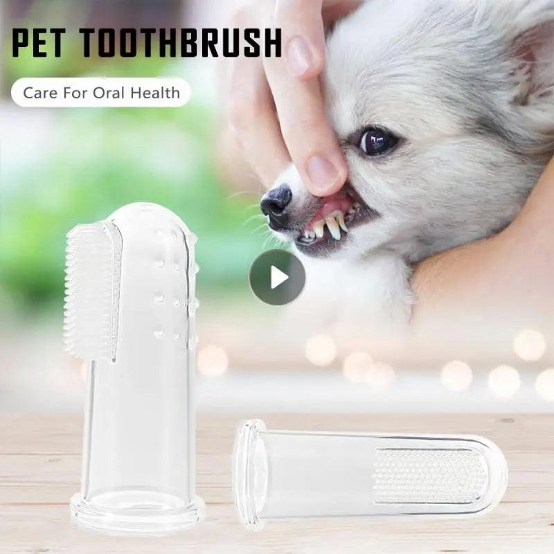 Pet Dental Care Kit: Soft Toothbrushes, Finger Brush, Plush Tools  ourlum.com   