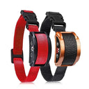 Anti Barking Training Collar: Efficient, Safe, Rechargeable, Waterproof  ourlum.com Red Blownbl Collar United State 