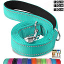 Reflective Night Dog Leash: Enhance Visibility and Safety  ourlum.com   