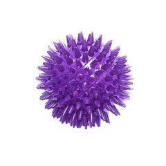 Pet Interactive Dental Care Toy: Colorful Squeaky Chew Ball for Dogs