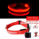 LED Dog Collar Light: High Visibility Anti-lost Night Safety Pet Accessory  ourlum.com Red Battery XS 