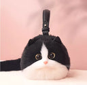 Please Note That The Test Connection Is Incorrect Pet Accessory