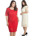 Lace Party Dress: Sophisticated Plus Size Fashion Choice