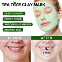 Tea Tree Clay Mask for Acne Treatment and Pore Purification  ourlum.com   