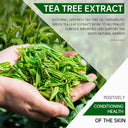 Tea Tree Clay Mask for Acne Treatment and Pore Purification  ourlum.com   