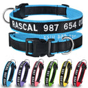 Personalized Embroidered Nylon Dog Collar for Medium to Large Breeds  ourlum.com   