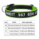 Personalized Embroidered Nylon Dog Collar for Medium to Large Breeds  ourlum.com Color A4 XS 