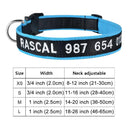 Personalized Embroidered Nylon Dog Collar for Medium to Large Breeds  ourlum.com Color A5 XS 