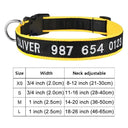 Personalized Embroidered Nylon Dog Collar for Medium to Large Breeds  ourlum.com Color A6 XS 