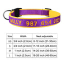 Personalized Embroidered Nylon Dog Collar for Medium to Large Breeds  ourlum.com Color A7 XS 