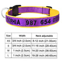 Personalized Embroidered Nylon Dog Collar for Medium to Large Breeds  ourlum.com Color A8 XS 