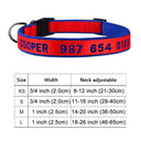 Personalized Embroidered Nylon Dog Collar for Medium to Large Breeds  ourlum.com Color A9 XS 