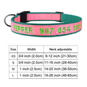 Personalized Embroidered Nylon Dog Collar for Medium to Large Breeds  ourlum.com Color A11 XS 