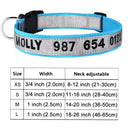 Personalized Embroidered Nylon Dog Collar for Medium to Large Breeds  ourlum.com Color A14 XS 