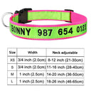 Personalized Embroidered Nylon Dog Collar for Medium to Large Breeds  ourlum.com Color A17 XS 