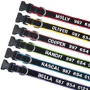 Personalized Embroidered Nylon Dog Collar for Medium to Large Breeds  ourlum.com   