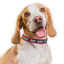 Personalized Embroidered Nylon Dog Collar for Medium to Large Breeds  ourlum.com   