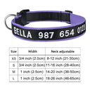 Personalized Embroidered Nylon Dog Collar for Medium to Large Breeds  ourlum.com Color A1 XS 