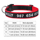 Personalized Embroidered Nylon Dog Collar for Medium to Large Breeds  ourlum.com Color A2 XS 