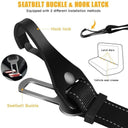 Adjustable 2-in-1 Pet Car Seat Belt with Elastic Buffer for Small and Large Dogs  ourlum.com   