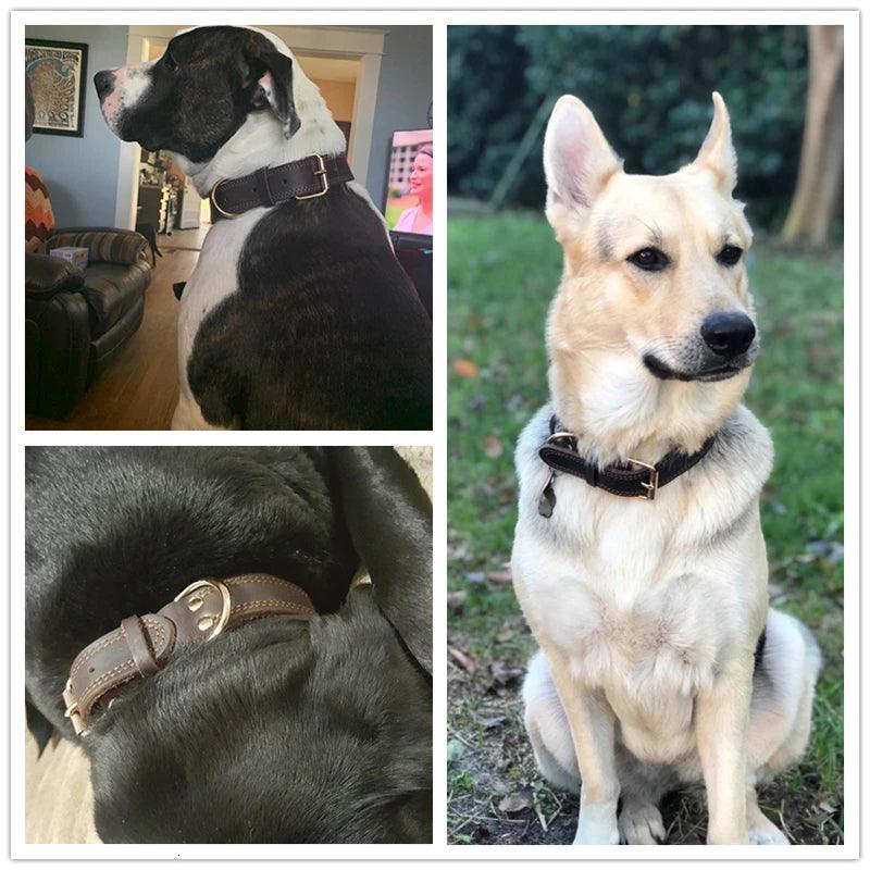 Benepaw Genuine Leather Dog Collar with Vintage Style and Double D-Ring for Medium to Large Dogs  ourlum.com   