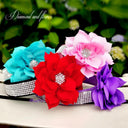 Luxury Flower Design Rhinestone Pet Collar for Glamorous Dogs and Cats  ourlum.com   