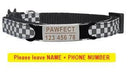 Pet Personalized ID Engraved Collar with Safety Breakaway - Adjustable for Puppies and Kittens  ourlum.com Black-Sliver 8-13 inch 