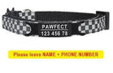 Pet Personalized ID Engraved Collar with Safety Breakaway - Adjustable for Puppies and Kittens  ourlum.com Black-Black 8-13 inch 