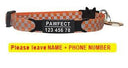 Pet Personalized ID Engraved Collar with Safety Breakaway - Adjustable for Puppies and Kittens  ourlum.com Orange-Black 8-13 inch 