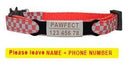 Pet Personalized ID Engraved Collar with Safety Breakaway - Adjustable for Puppies and Kittens  ourlum.com Red-Sliver 8-13 inch 