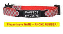 Pet Personalized ID Engraved Collar with Safety Breakaway - Adjustable for Puppies and Kittens  ourlum.com Red-Black 8-13 inch 