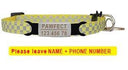 Pet Personalized ID Engraved Collar with Safety Breakaway - Adjustable for Puppies and Kittens  ourlum.com Yellow-Sliver 8-13 inch 