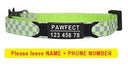 Pet Personalized ID Engraved Collar with Safety Breakaway - Adjustable for Puppies and Kittens  ourlum.com Green-Black 8-13 inch 