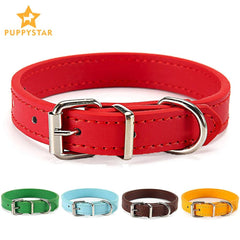 Safety Breakaway Cat Collar: Personalized Nametag for Feline Style