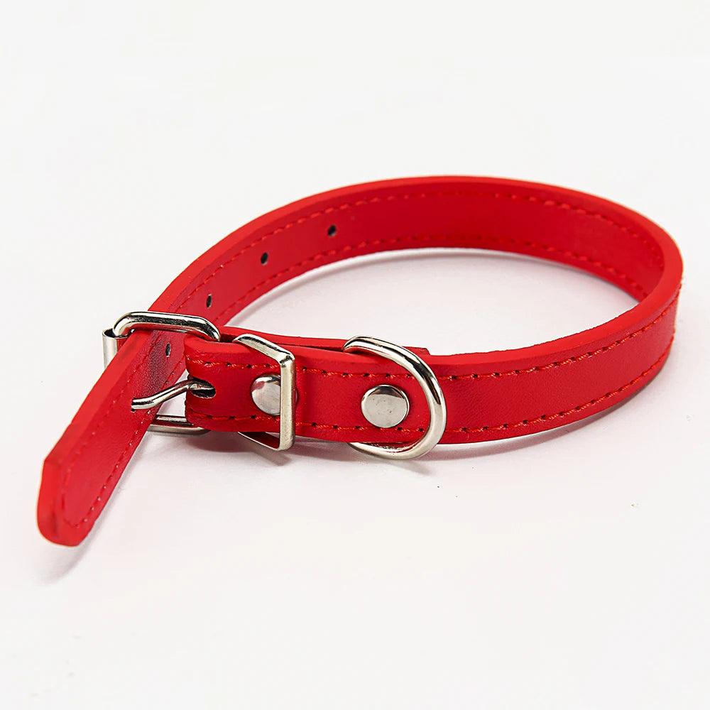 Safety Breakaway Cat Collar with Personalized Nametag - Stylish and Adjustable Pet Accessory  ourlum.com   