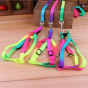 Rainbow Pet Harness Set: Stylish Nylon Walking Kit for Pets