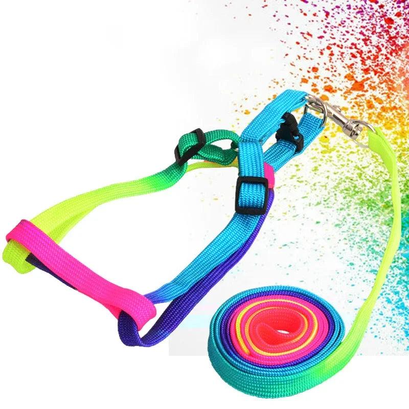 Rainbow Deluxe Pet Walking Set - Vibrant Nylon Harness & Leash  ourlum.com   