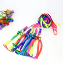 Rainbow Pet Harness Set: Stylish Nylon Walking Kit for Pets