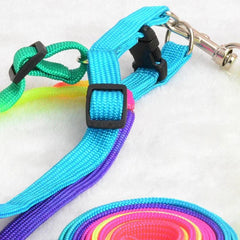 Rainbow Pet Harness Set: Stylish Nylon Walking Kit