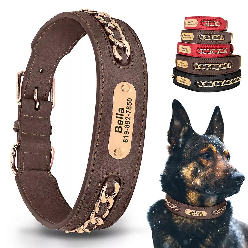 Luxury Personalized Leather Dog Collar with Nameplate for French Bulldogs and Pitbulls  ourlum.com   