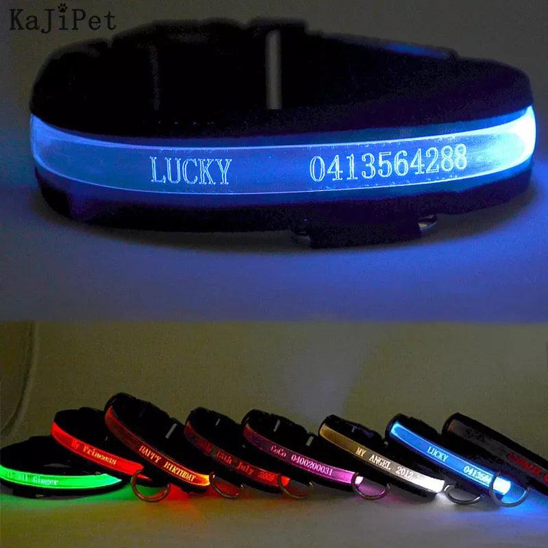 Personalized LED Light-Up Nylon Pet Collar with Custom Lettering  ourlum.com   