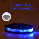 Personalized LED Light-Up Nylon Pet Collar with Custom Lettering  ourlum.com Blue XS 25-35cm 