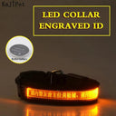 Personalized LED Light-Up Nylon Pet Collar with Custom Lettering  ourlum.com Yellow XS 25-35cm 