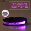 Personalized LED Light-Up Nylon Pet Collar with Custom Lettering  ourlum.com Pink XS 25-35cm 