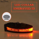 Personalized LED Light-Up Nylon Pet Collar with Custom Lettering  ourlum.com Orange XS 25-35cm 