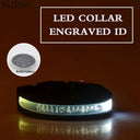 Personalized LED Light-Up Nylon Pet Collar with Custom Lettering  ourlum.com WHITE XS 25-35cm 