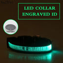 Personalized LED Light-Up Nylon Pet Collar with Custom Lettering  ourlum.com green XS 25-35cm 