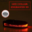 Personalized LED Light-Up Nylon Pet Collar with Custom Lettering  ourlum.com Red XS 25-35cm 