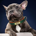 Personalized Leather Dog Collar with Free Engraving - Stylish Nameplate Pet Collar for Small, Medium, and Large Dogs  ourlum.com   