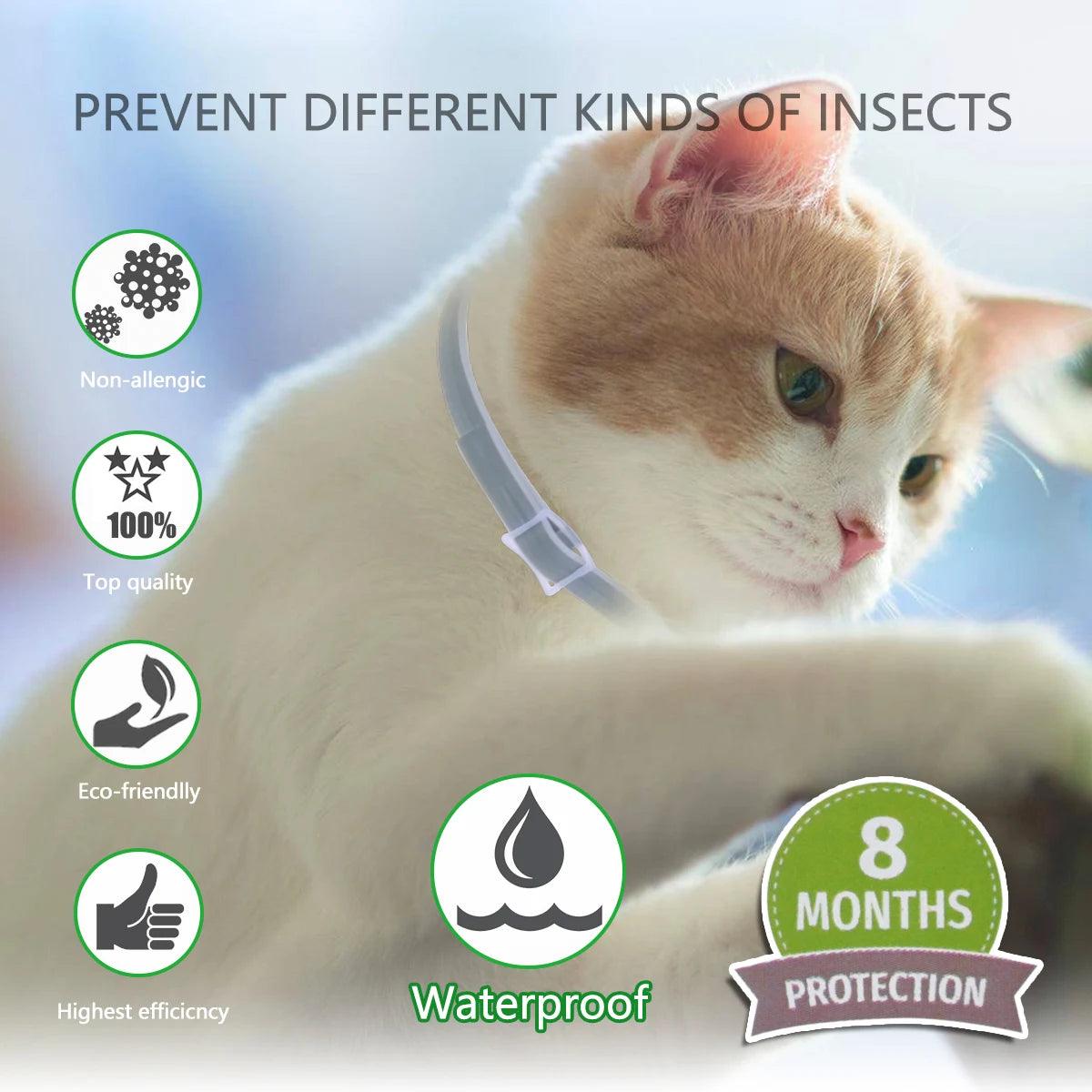 Outdoor Pet Collar for Cats and Dogs - Long-lasting Flea and Tick Protection for 8 Months  ourlum.com   